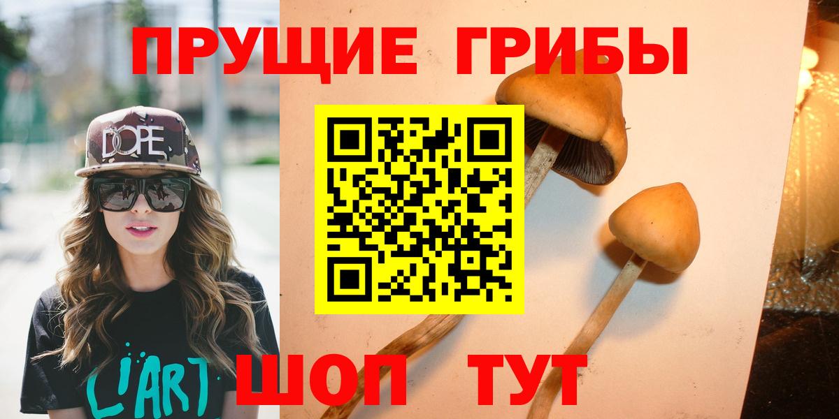 Псилоцибиновые грибы мицелий  Вход с VPN  Ейск  Галлюциногенные грибы Psilocybine cubensis 